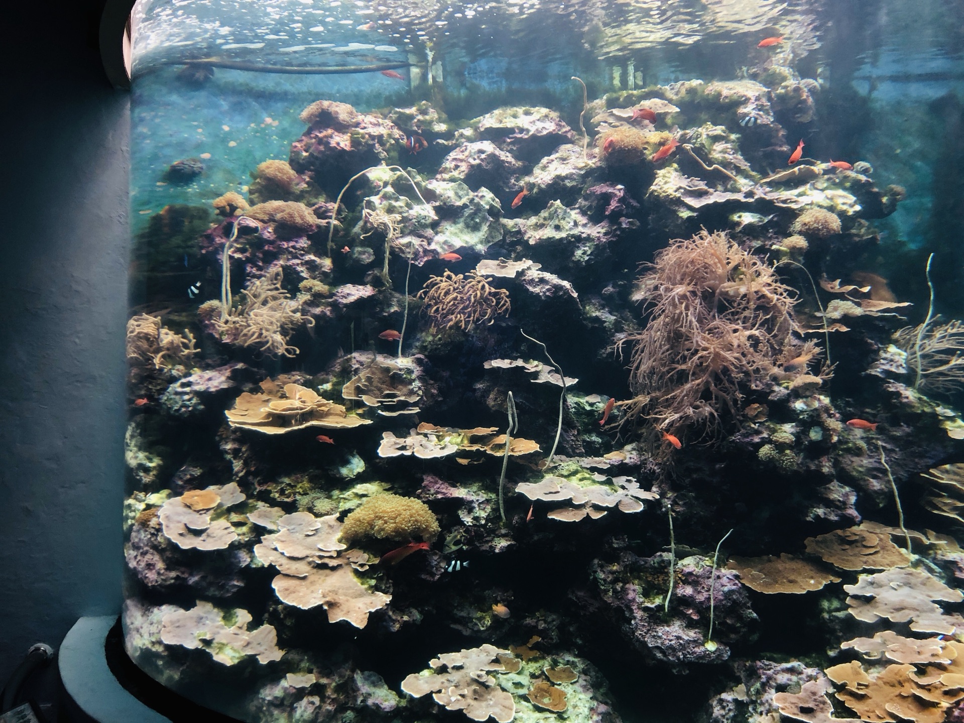 wKgEaVyx-EqASZW4AA0s0i2ujwE03.jpeg?imageView2%2F2%2Fw%2F680%2Fq%2F90%7CimageMogr2%2Fstrip%2Fquality%2F90