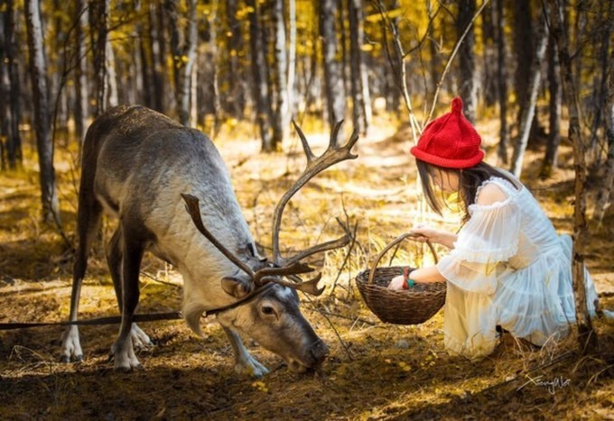 鹿精灵第一季第36集鹿姑娘 wKgEaVzTLNaATb0fAAGgOZBKfek71.jpeg?imageView2%2F2%2Fw%2F680%2Fq%2F90%7CimageMogr2%2Fstrip%2Fquality%2F90