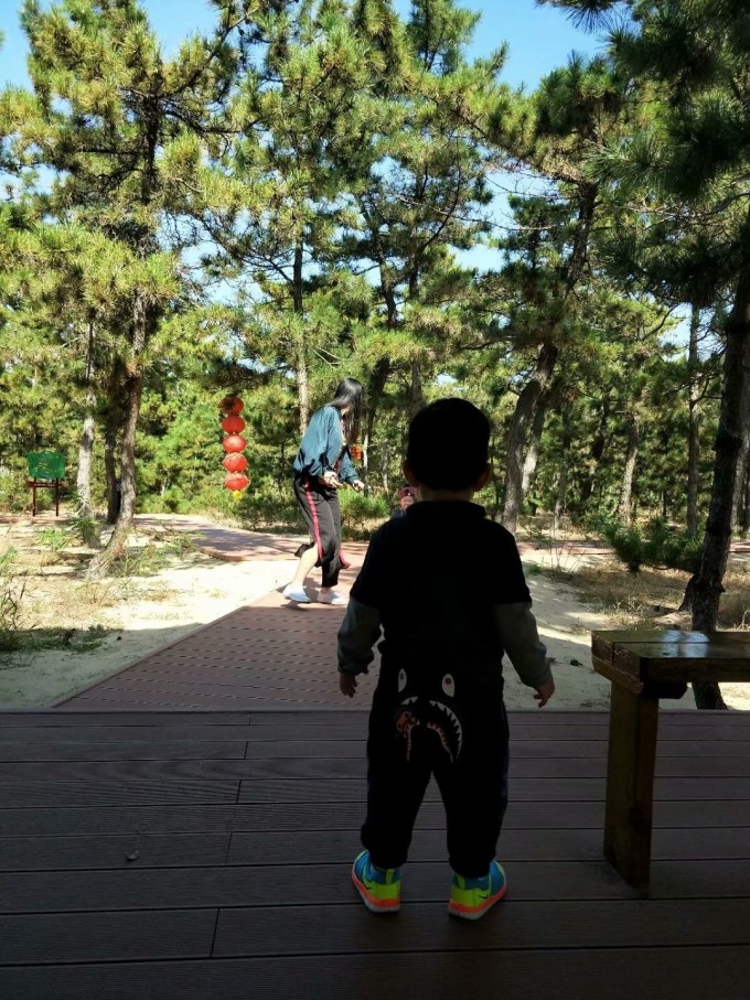 辽宁十一带娃游玩攻略,辽宁十一带孩子旅游最佳去处