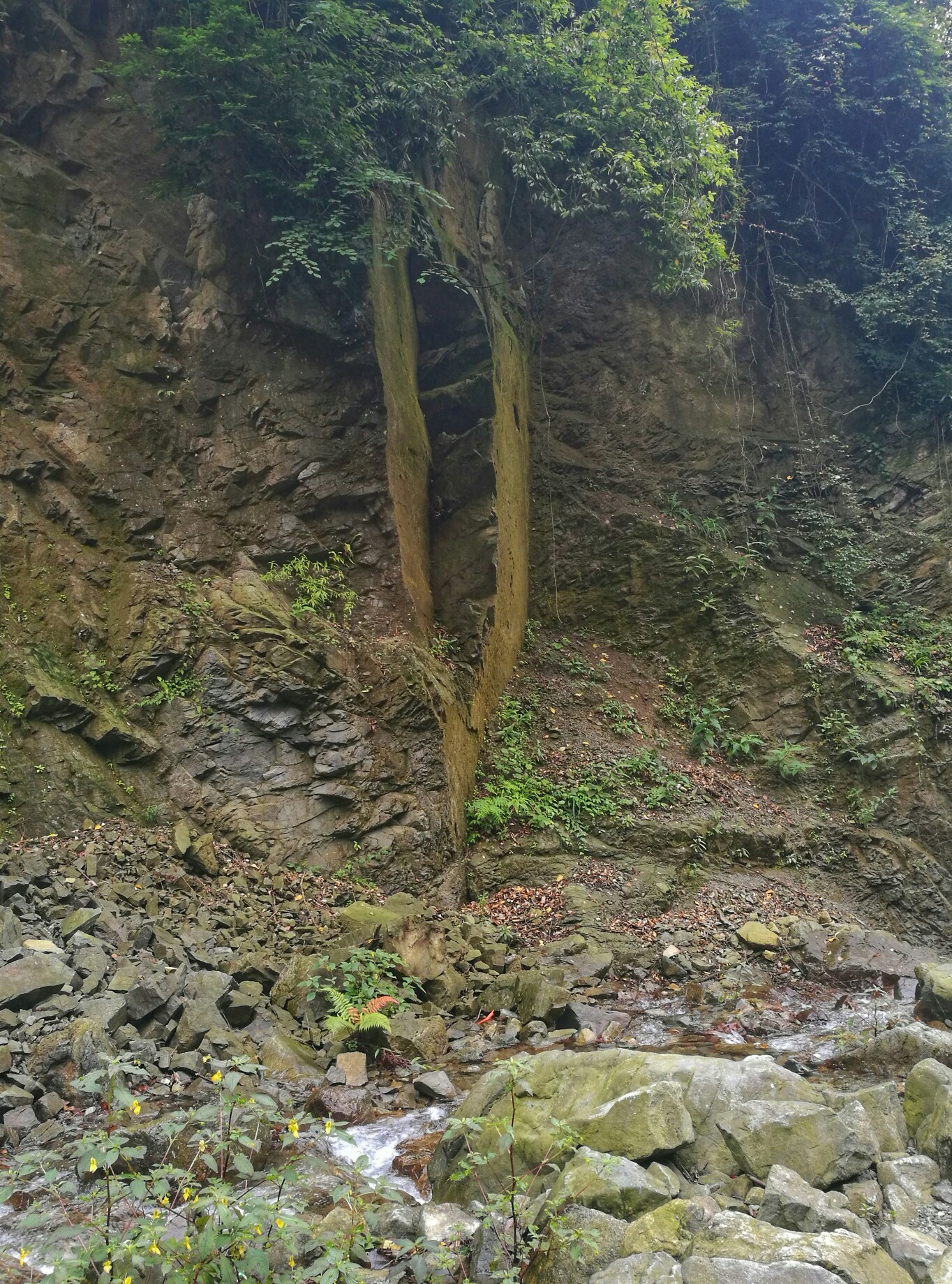 wKgE2l0r15iAD6xlAA-OCRsgfzU32.jpeg?imageView2%2F2%2Fw%2F600%2Fh%2F600%2Fq%2F90