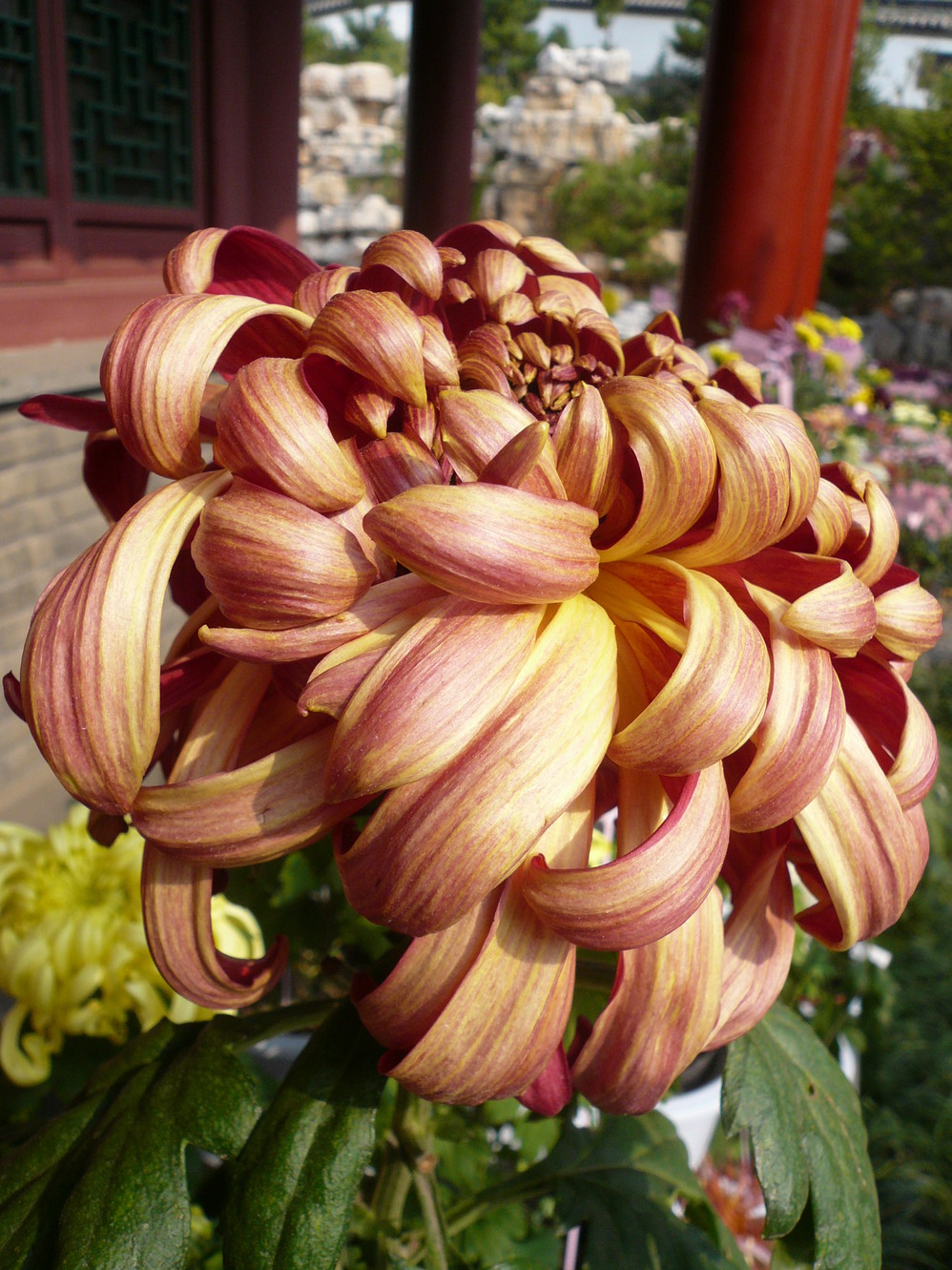 wKgBpU66mkGNzr4PAAW7LJ23LLE33.jpeg?imageView2%2F2%2Fw%2F600%2Fq%2F50