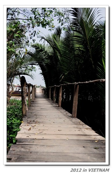 树上有个好地方完整版在线看 wKgBt09pumPXNpRTAAI8XLV1pCs64.jpeg?imageView2%2F2%2Fw%2F600%2Fh%2F600%2Fq%2F90