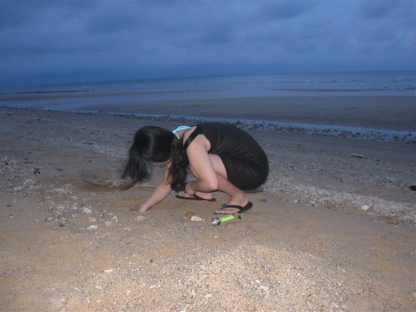 海上捞鱼游玩攻略,海上捞鱼游玩攻略图
