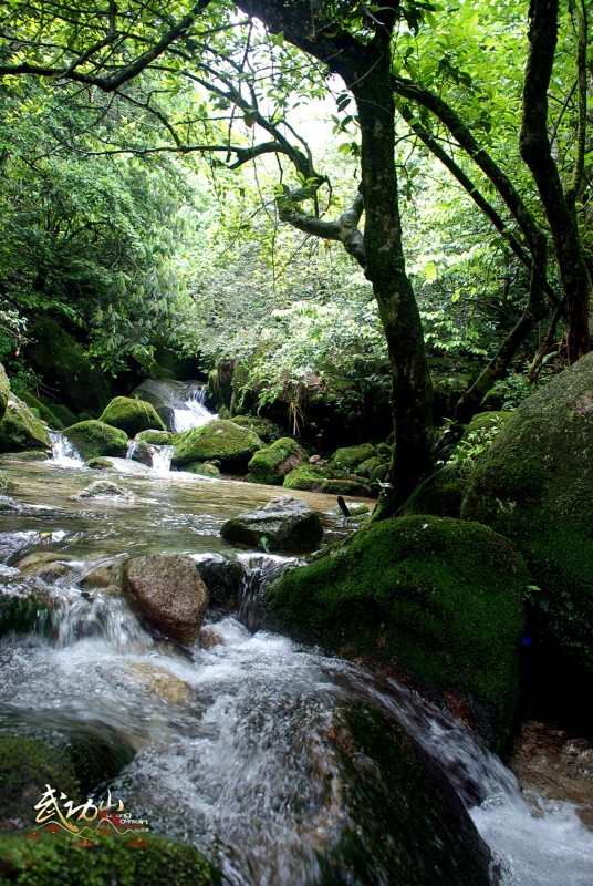 wKgByU-xK-_cKLnLAAM7DaY__eE40.jpeg?imageView2%2F2%2Fw%2F600%2Fh%2F600%2Fq%2F90