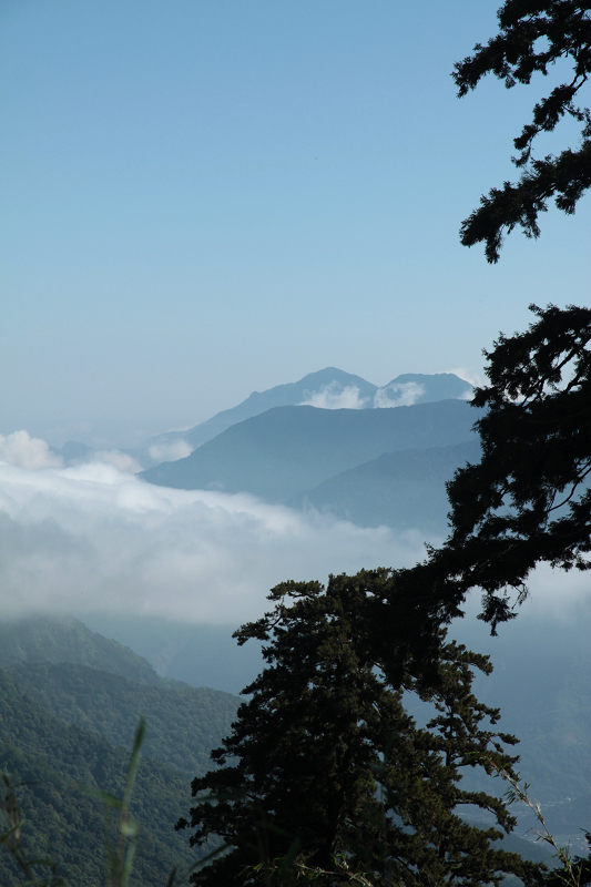 玉山有多少人口_台湾阿里山我来了 眼前的景色真是太美啦