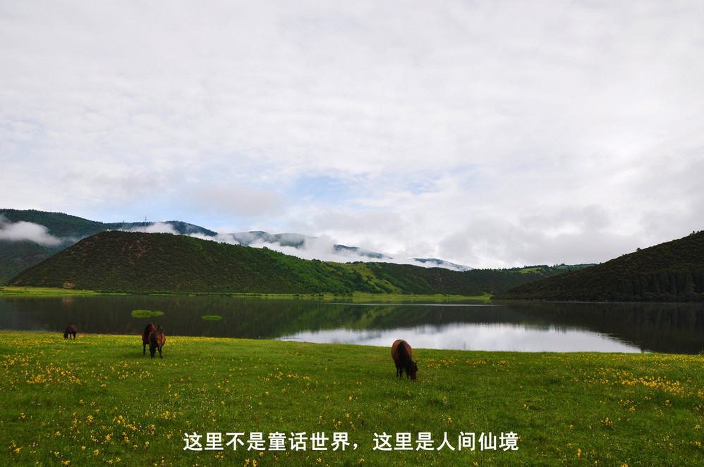 wKgByU-vr9-bMHFbAALI9qAxPA425.jpeg?imageView2%2F2%2Fw%2F600%2Fh%2F600%2Fq%2F90