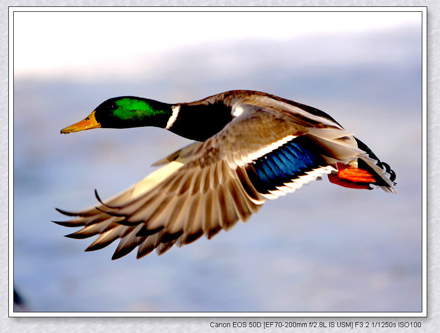 wKgB3FFW7_-ACn0AAAZv8_-6hDk66.jpeg?imageView2%2F2%2Fw%2F600%2Fq%2F90%7CimageMogr2%2Fstrip%2Fquality%2F90