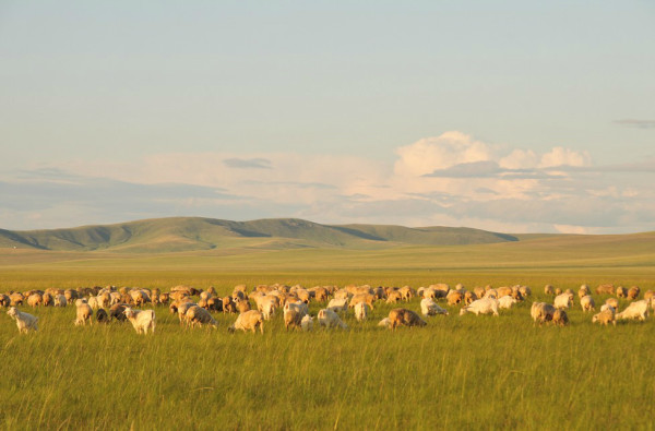 父亲的草原母亲的河原创是谁 wKgB21AnLiXB5hT5AAXfUEualBQ37.jpeg?imageView2%2F2%2Fw%2F600%2Fh%2F600%2Fq%2F90