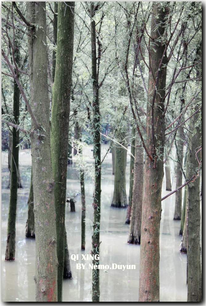 wKgB3FIQVaqAVpBpAA__T6Yl7U855.jpeg?imageView2%2F2%2Fw%2F600%2Fh%2F600%2Fq%2F90