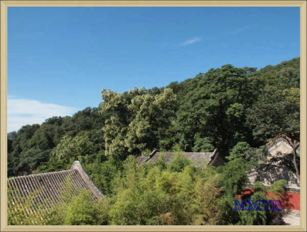 去潭柘寺游玩攻略,去潭柘寺游玩攻略图