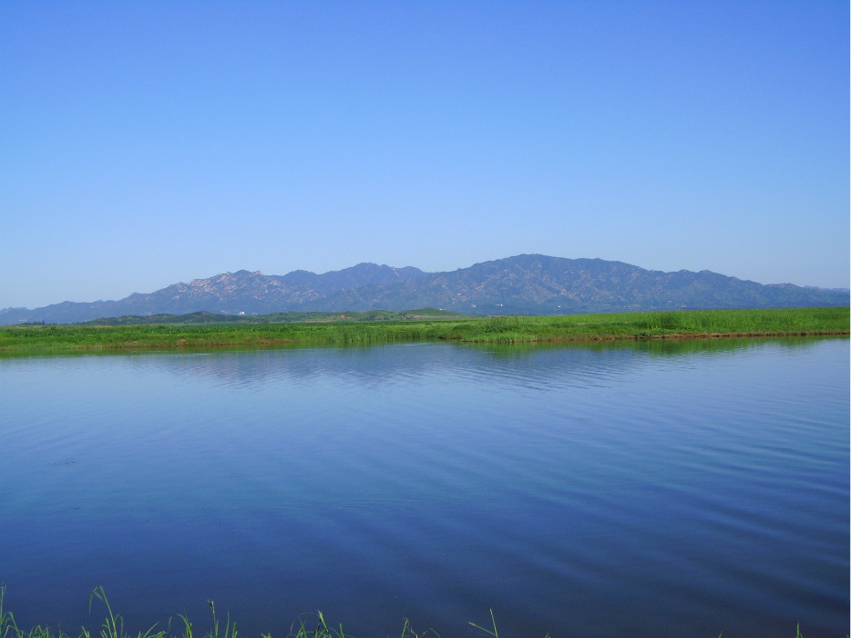 wKgB3FHUPZCAZBqPAAG39IK_Ma448.jpeg?imageView2%2F2%2Fw%2F600%2Fh%2F600%2Fq%2F90