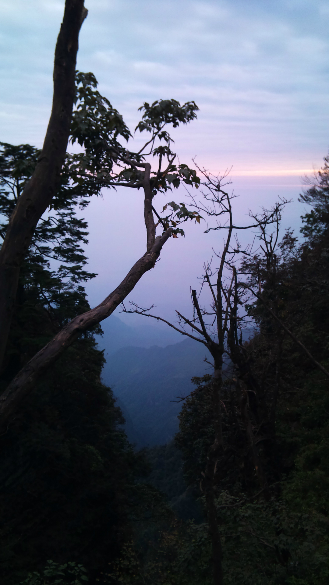 去峨眉山怎么穿搭_峨眉山金顶图片