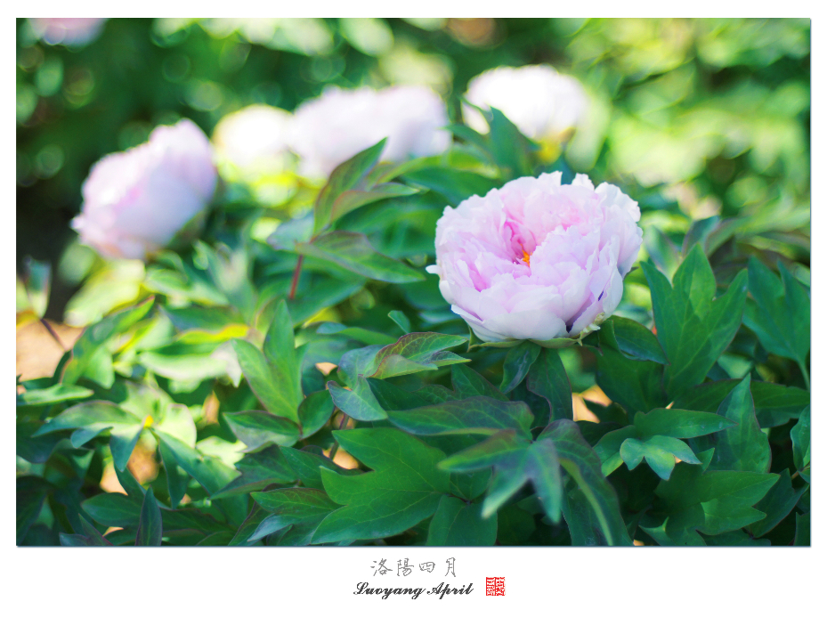 wKgB3FF3XFuAI8oAAAvvBRORRHU55.jpeg?imageView2%2F2%2Fw%2F600%2Fh%2F600%2Fq%2F90