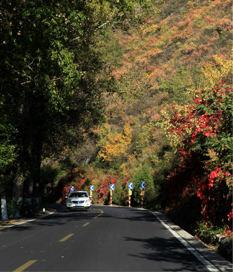 2012国庆延庆百里山水画廊探路,北京自助游攻略 - 马