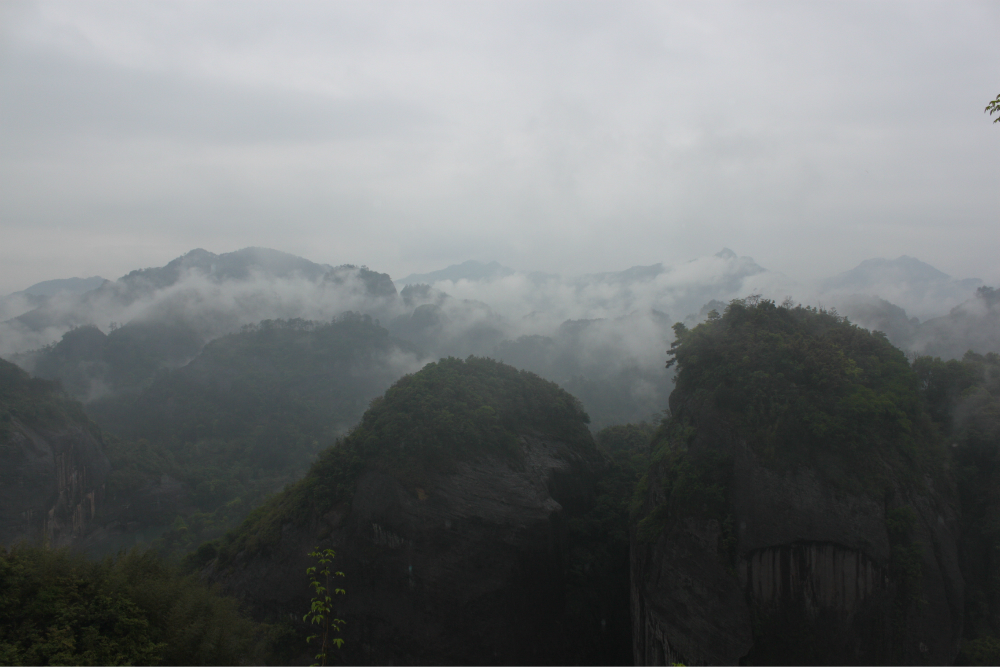 武夷山城区人口_武夷山大红袍母树