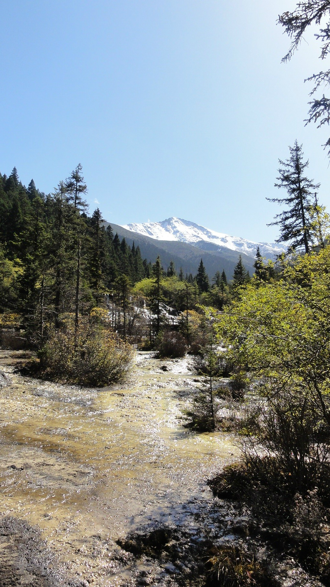 迭部多少人口_迭部秋景(3)