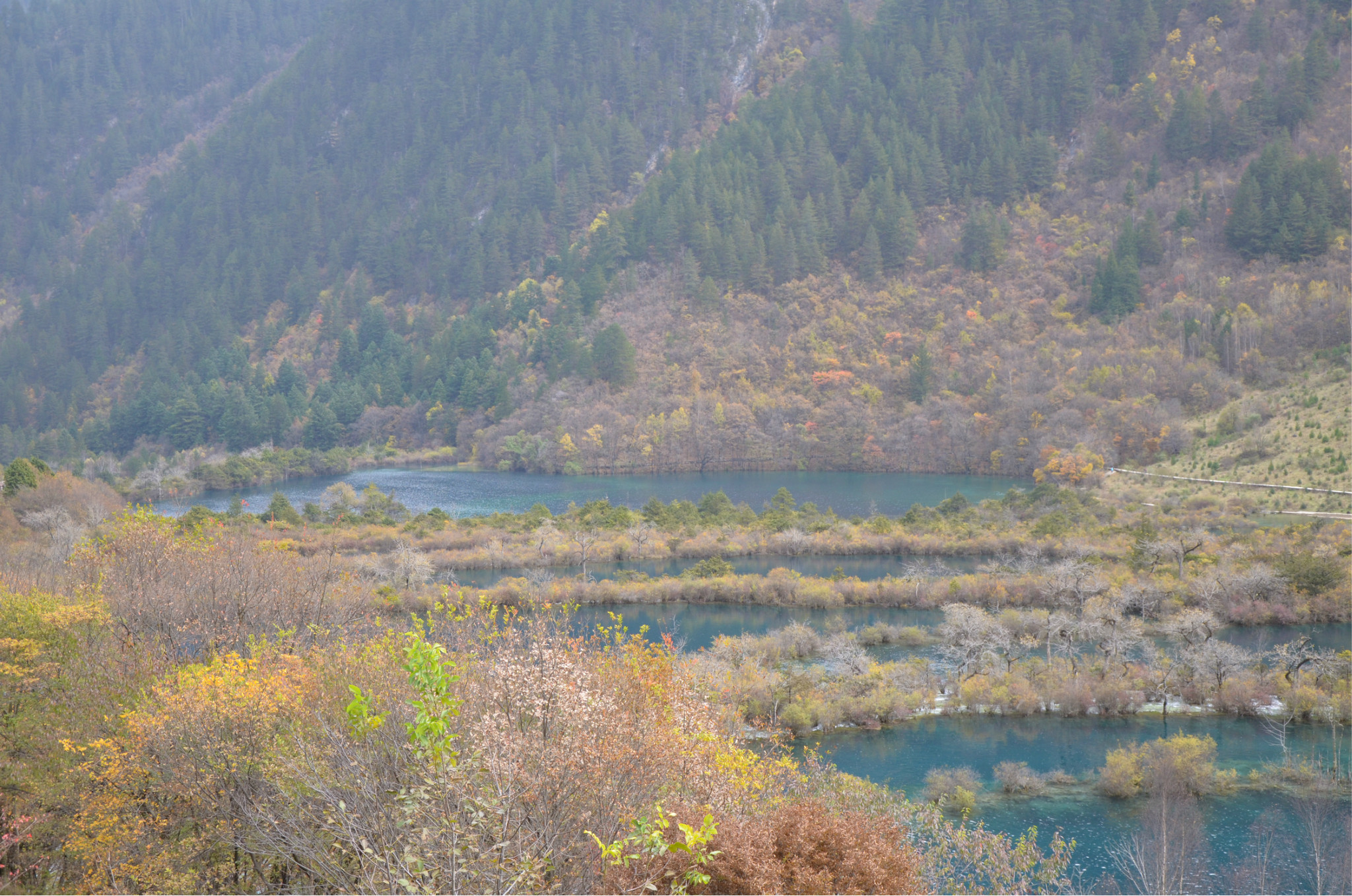 山丹县有多少人口_山丹 异地搬迁让群众安住稳享 好日子(3)