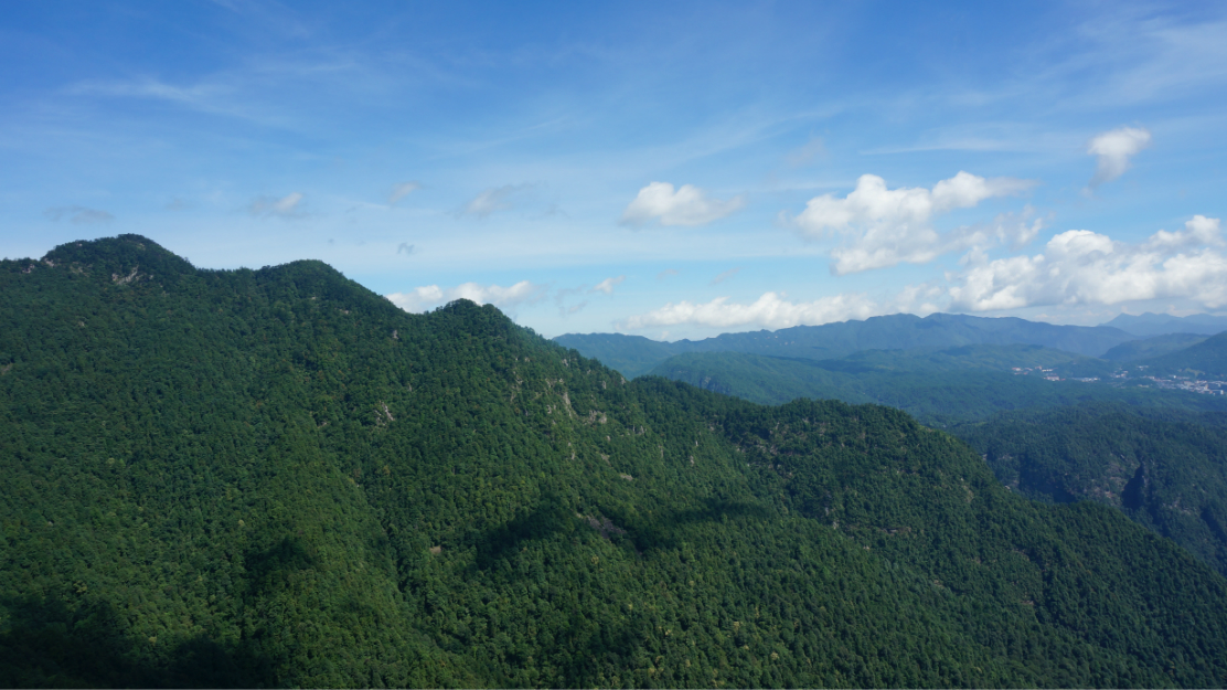 wKgB3FIPayyAThyLAAsvpVcA6Kk85.jpeg?imageView2%2F2%2Fw%2F600%2Fq%2F50