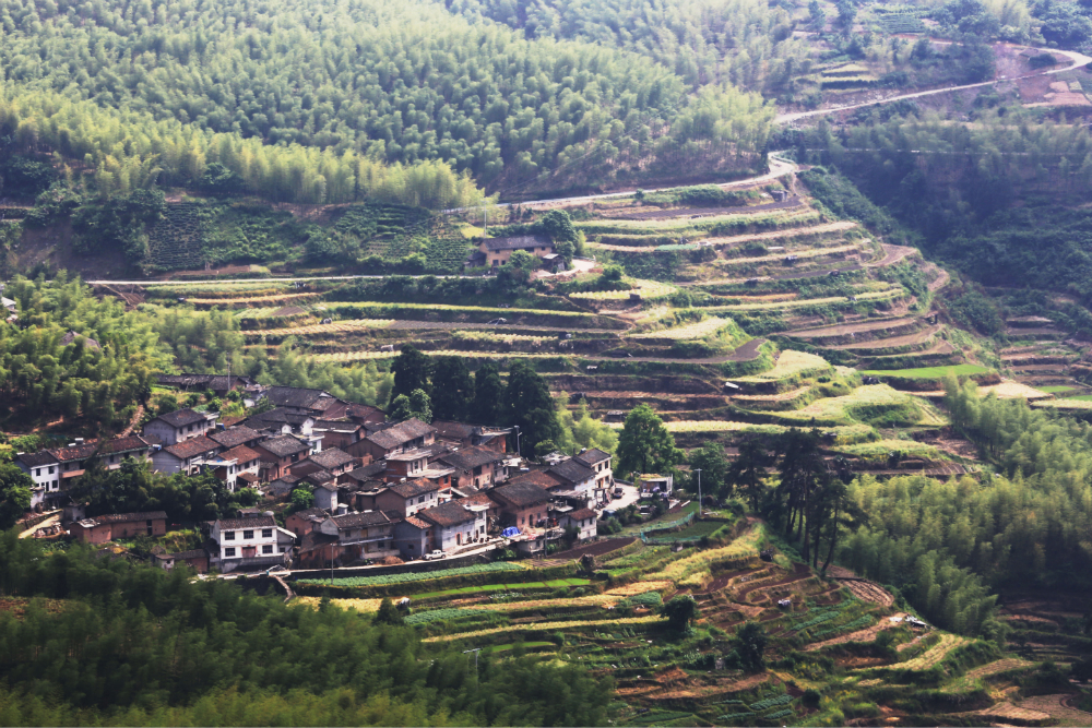 浙江松阳梯田图片41,金华旅游景点,风景名胜 - 马蜂窝图库 - 马蜂窝
