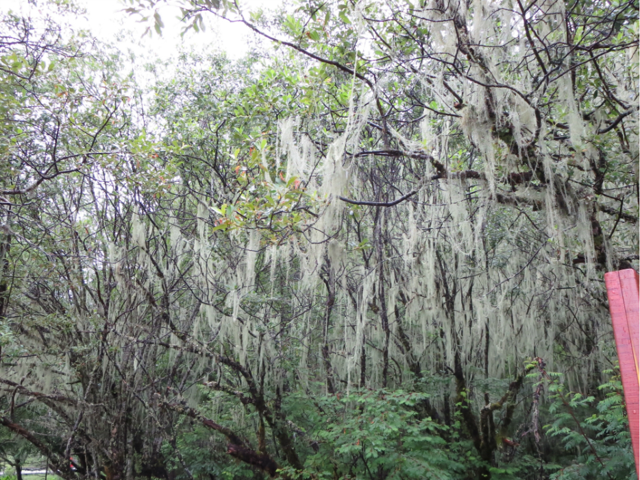 wKgB3FH-JSGAGwyZAA-GZfMs6lQ93.jpeg?imageView2%2F2%2Fw%2F600%2Fh%2F600%2Fq%2F90