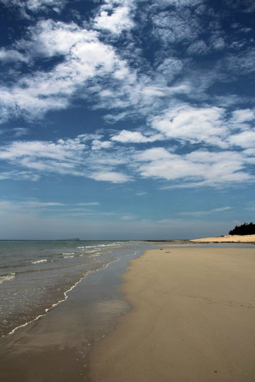 天涯海角最相思简谱_天涯海角图片(2)