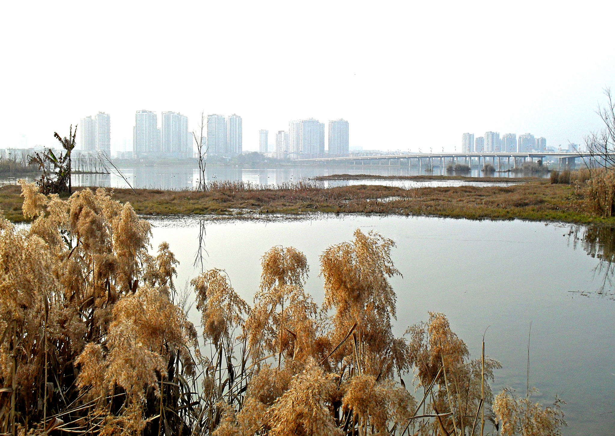 遂宁---河东湿地公园印象