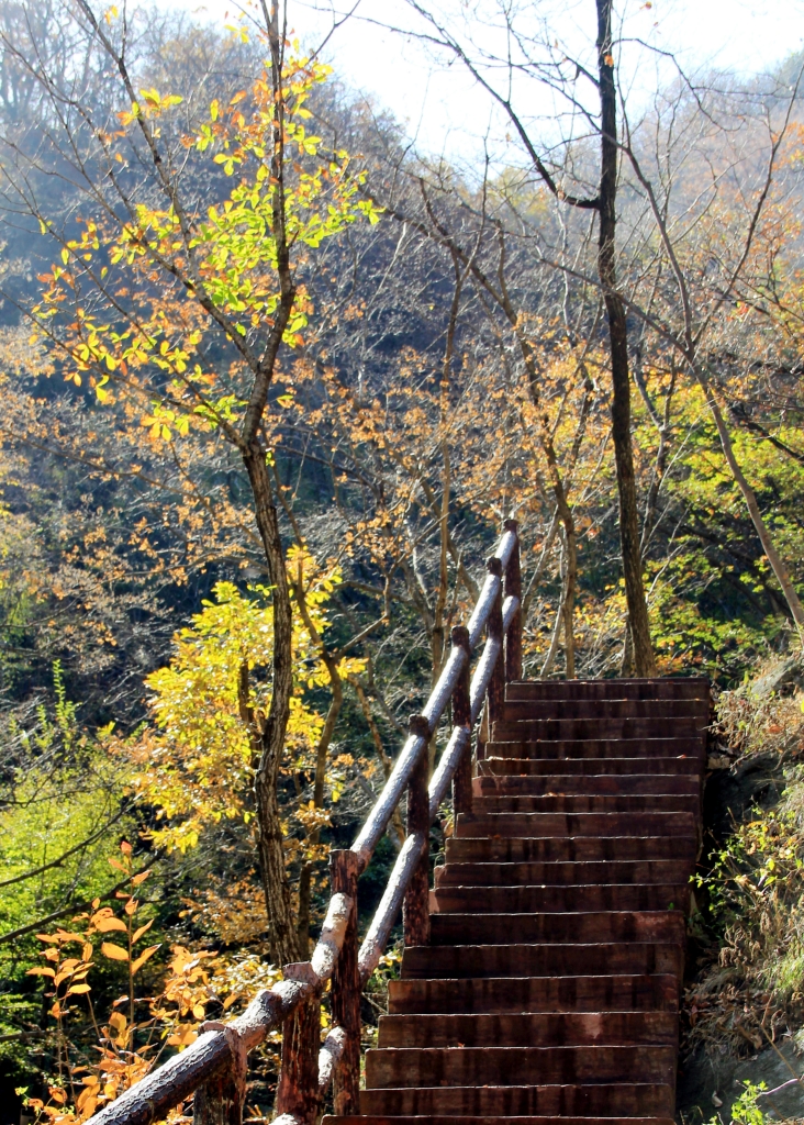 一路向西:豫鄂渝川自驾游之三(南阳)