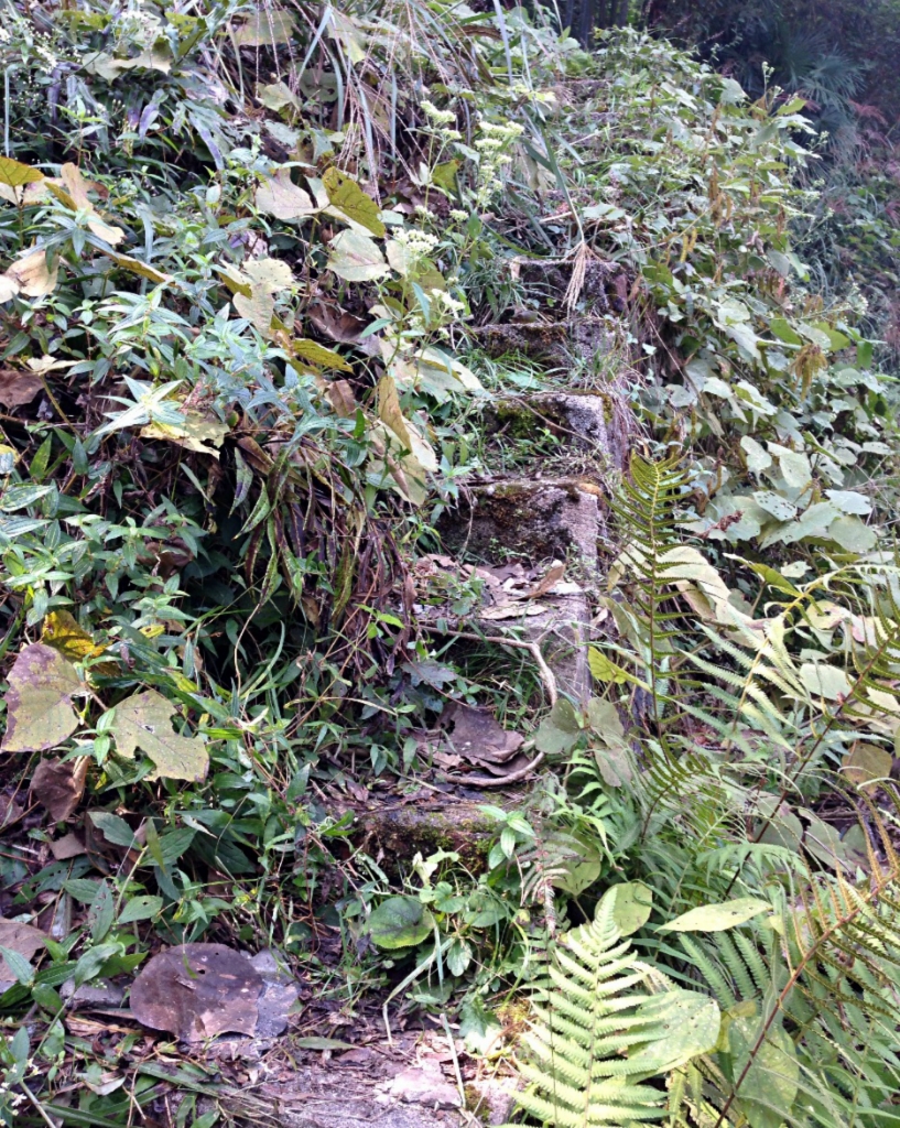 宁都多少人口_宁都翠微峰