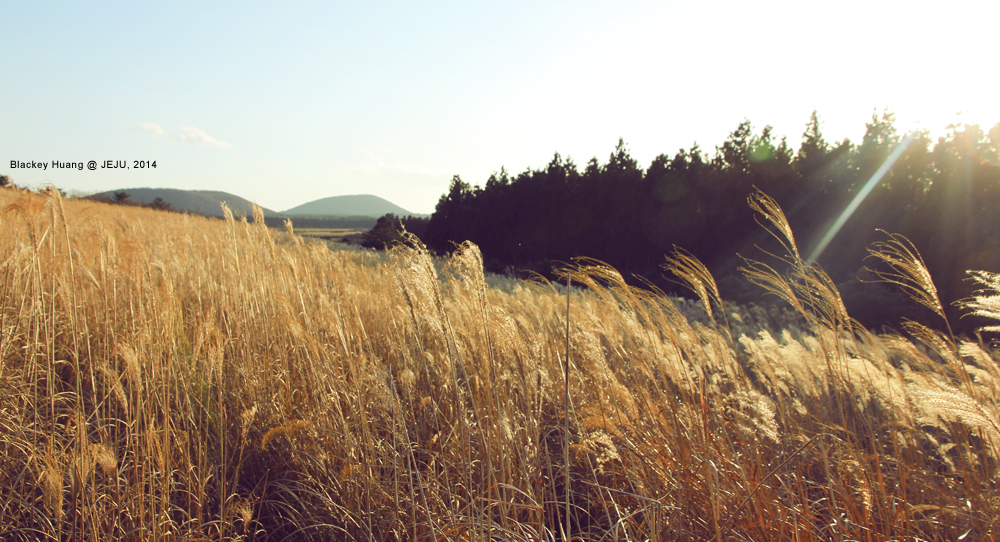 wKgB4lLPuxKAaOFLAAhiIUGP9G448.jpeg?imageView2%2F2%2Fw%2F600%2Fh%2F600%2Fq%2F90