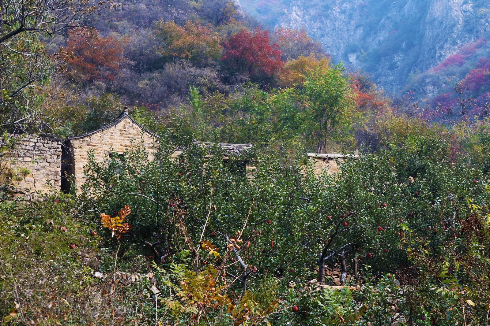 石家庄平山县北冶乡各村人口_石家庄平山县东岸村(2)