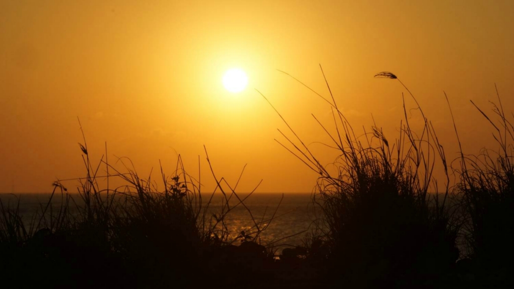 喜欢在夕阳夕照之下独自一人漫步,思绪中却没有古人的那种莫名的伤感