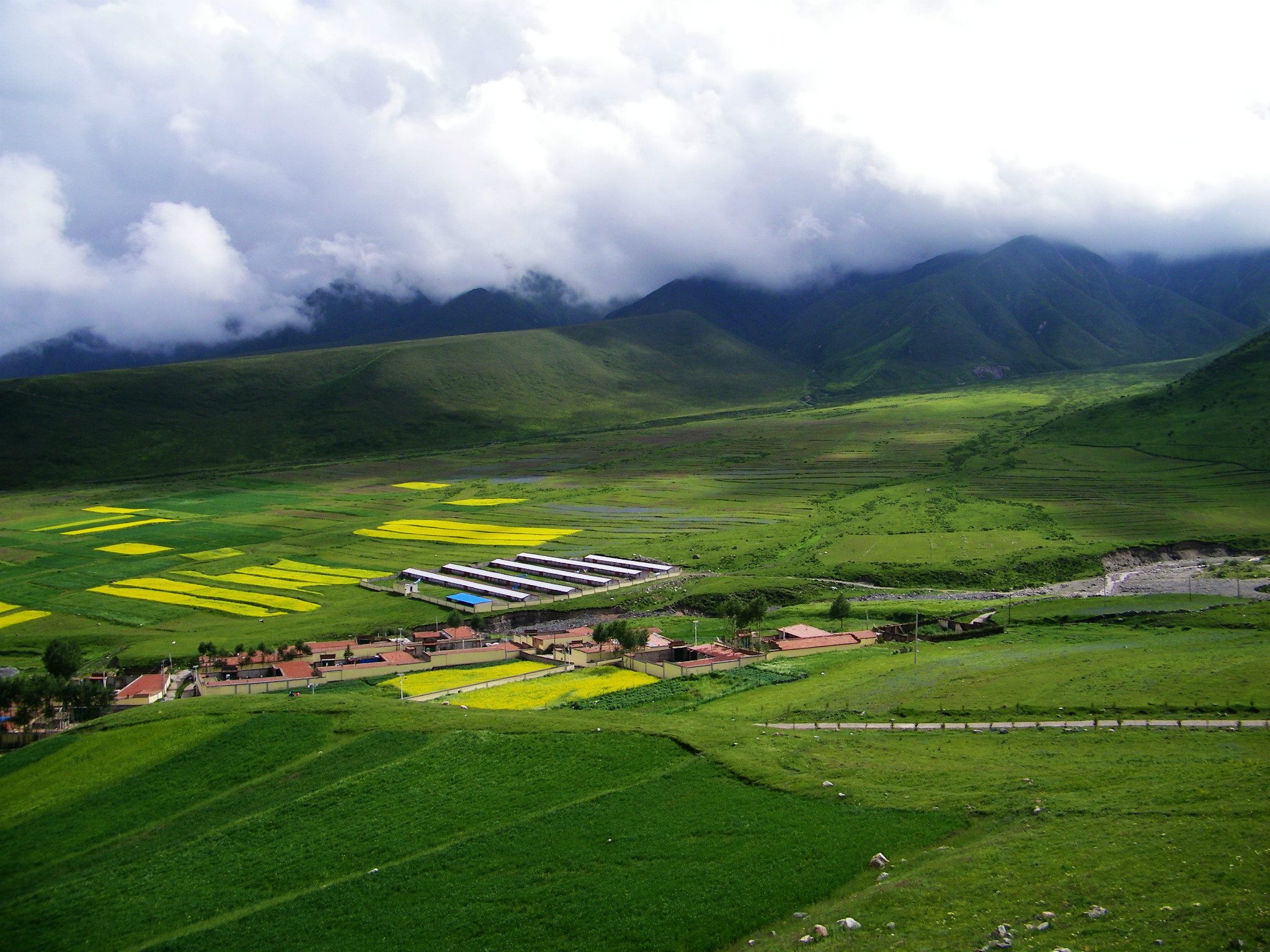 夏游记之四——拉脊山风光图片40,祁连山旅游景点,风景名胜 - 马蜂窝