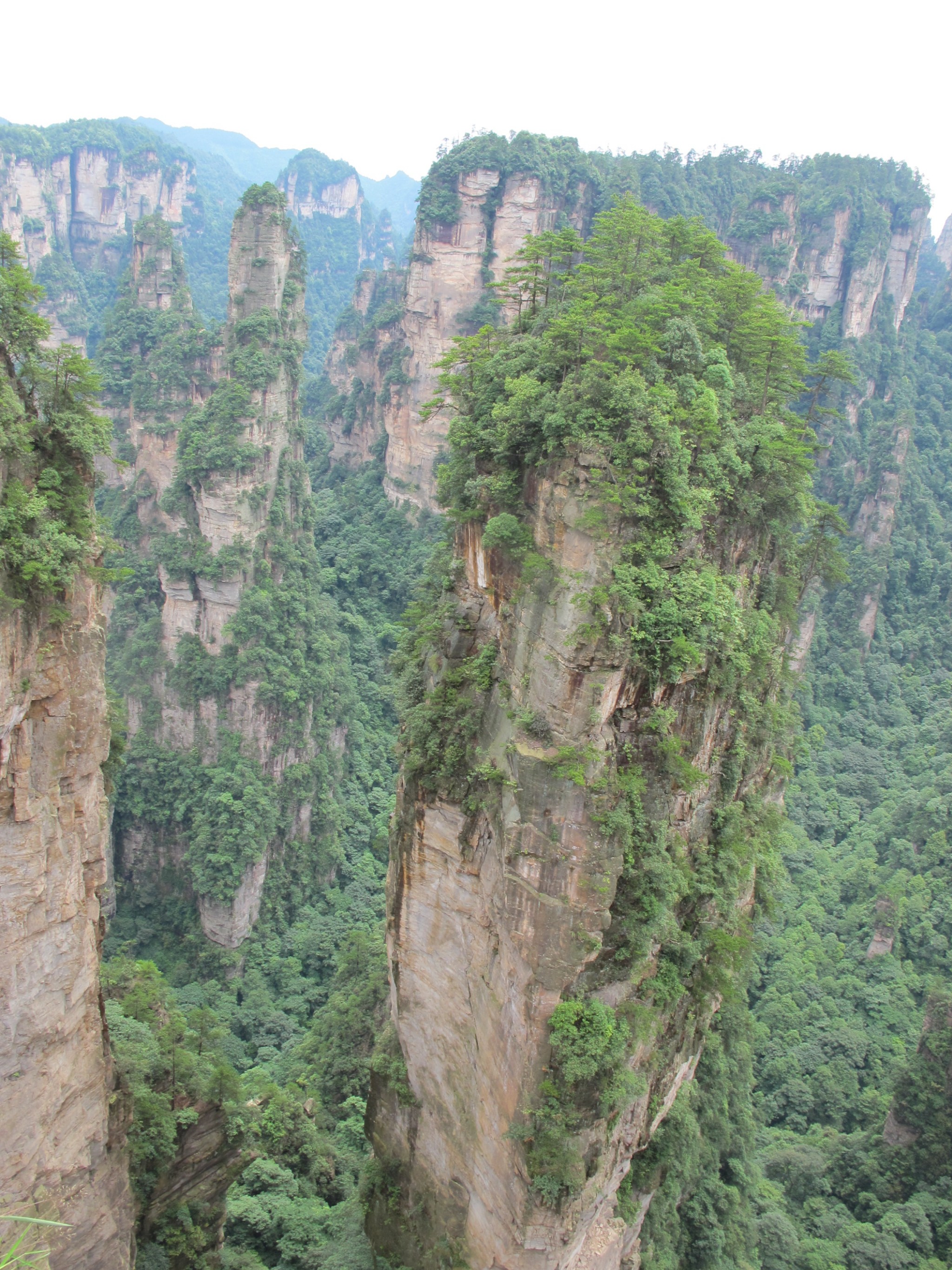 张家界有多少人口_...安静的一个人去张家界旅行