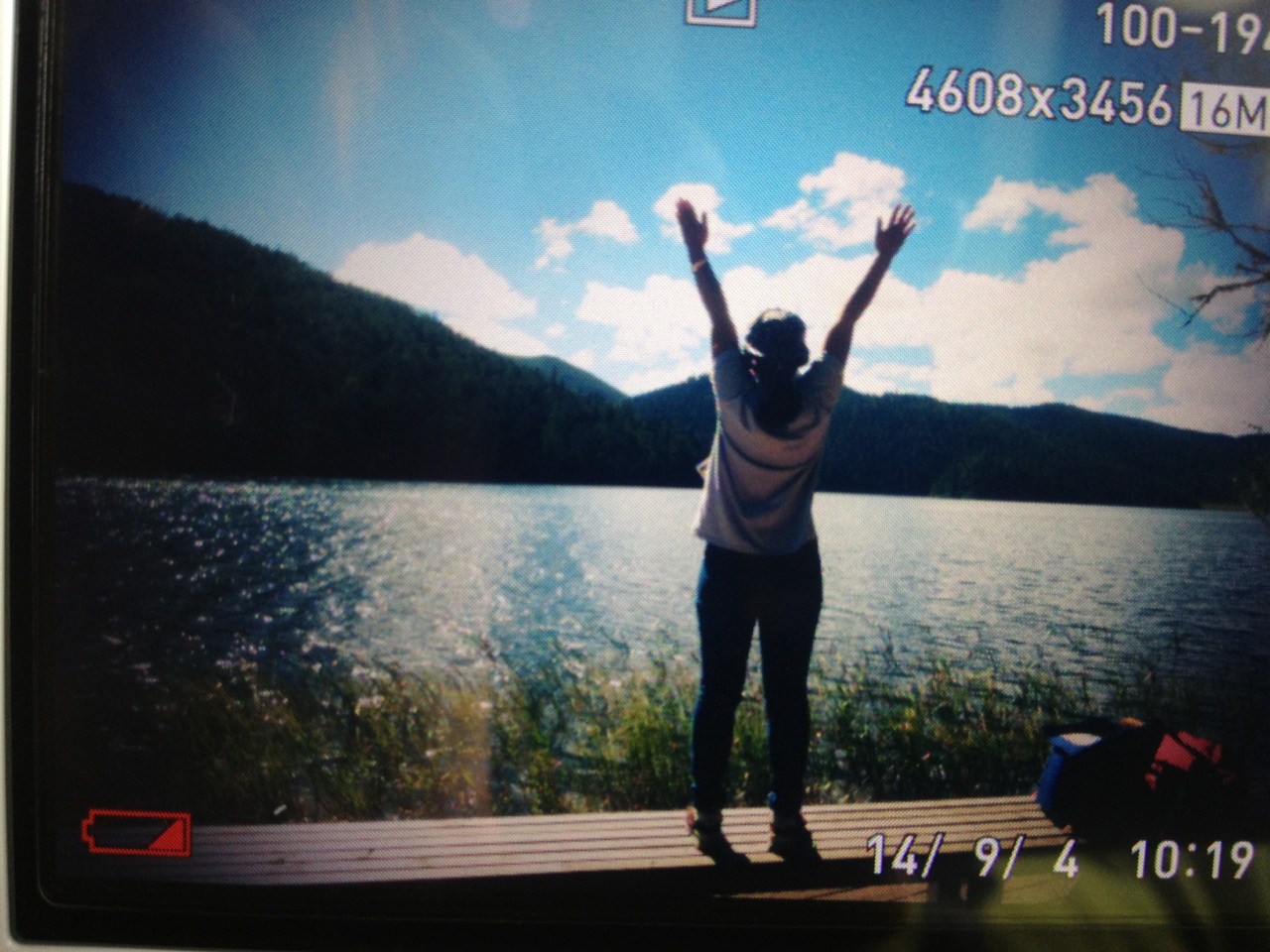 月亮鸡猜一成语_木猜一成语疯狂看图(3)