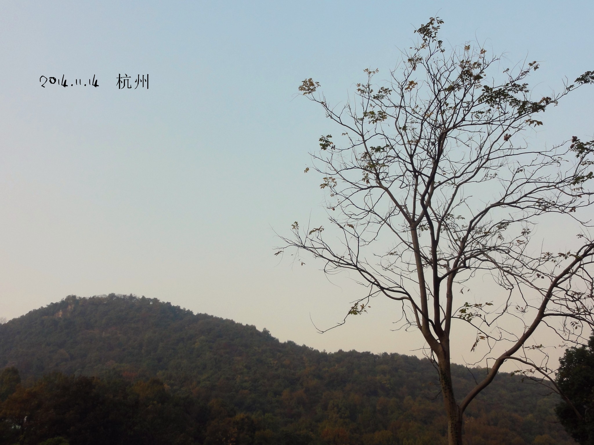 妹妹你大胆的往前走简谱_妹妹大胆的往前走图片(2)