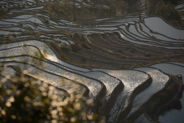 为什么叫元阳梯田 wKgB6lO6KbGATchVAAqRt16NBT087.jpeg?imageView2%2F2%2Fw%2F600%2Fh%2F600%2Fq%2F90