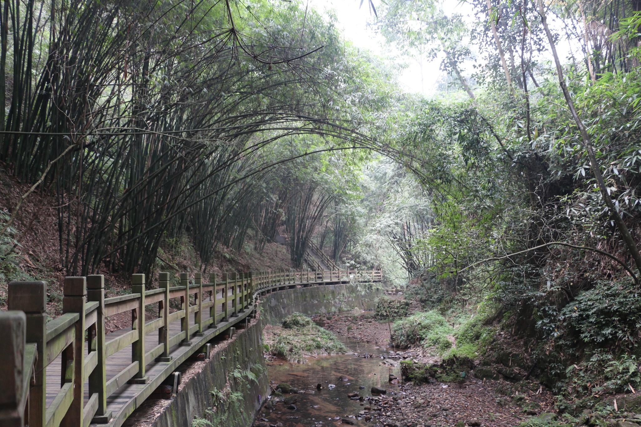 凤栖山一日游图片88,崇州旅游景点,风景名胜 - 马蜂窝