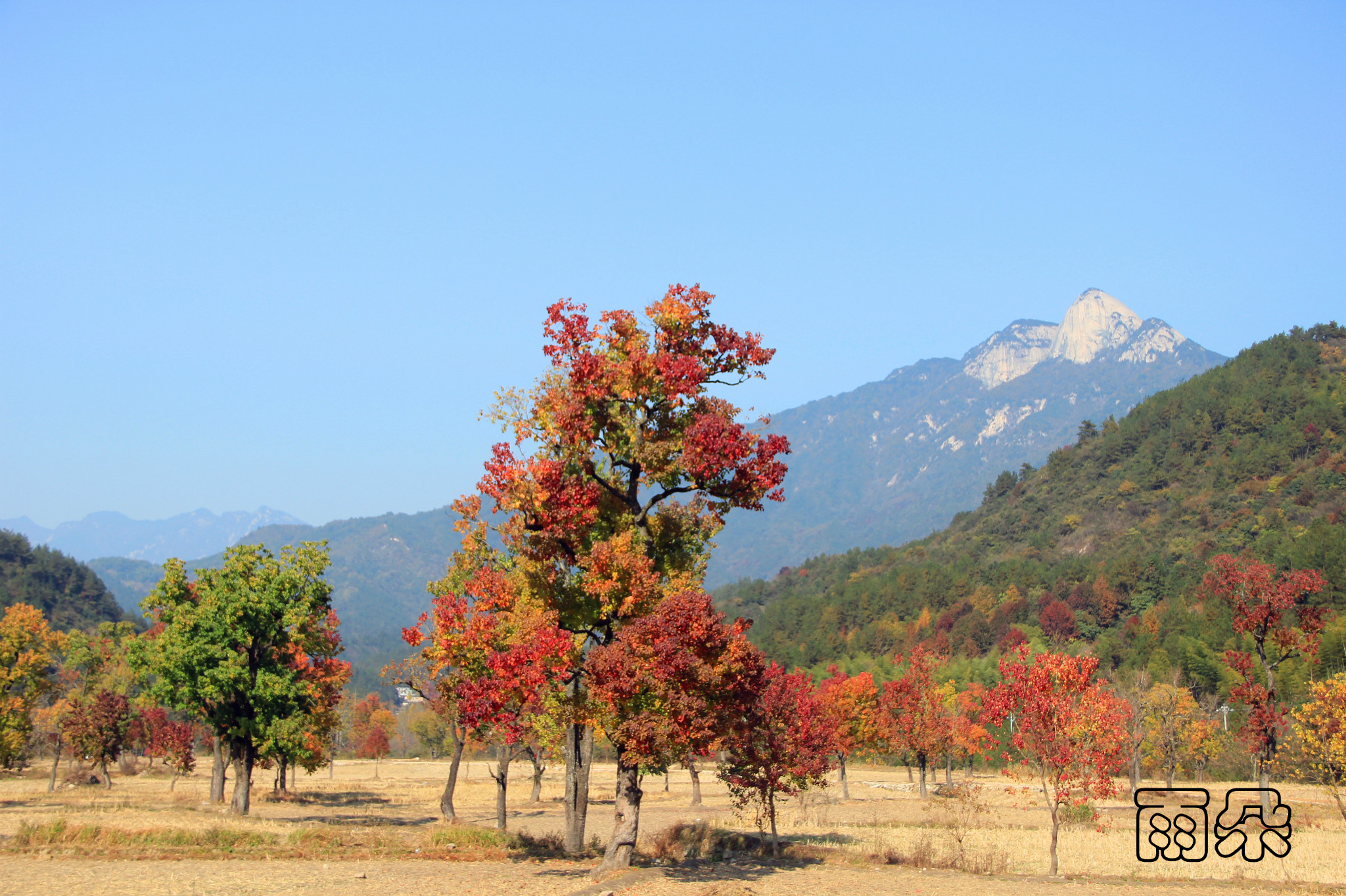 罗田九资河红叶图片23,罗田旅游景点,风景名胜 - 马