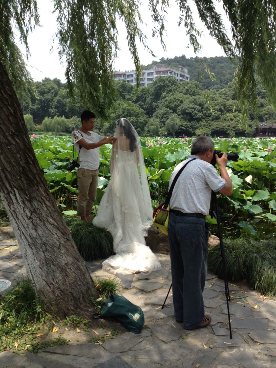 嵊州婚纱照_嵊州炒年糕图片(2)