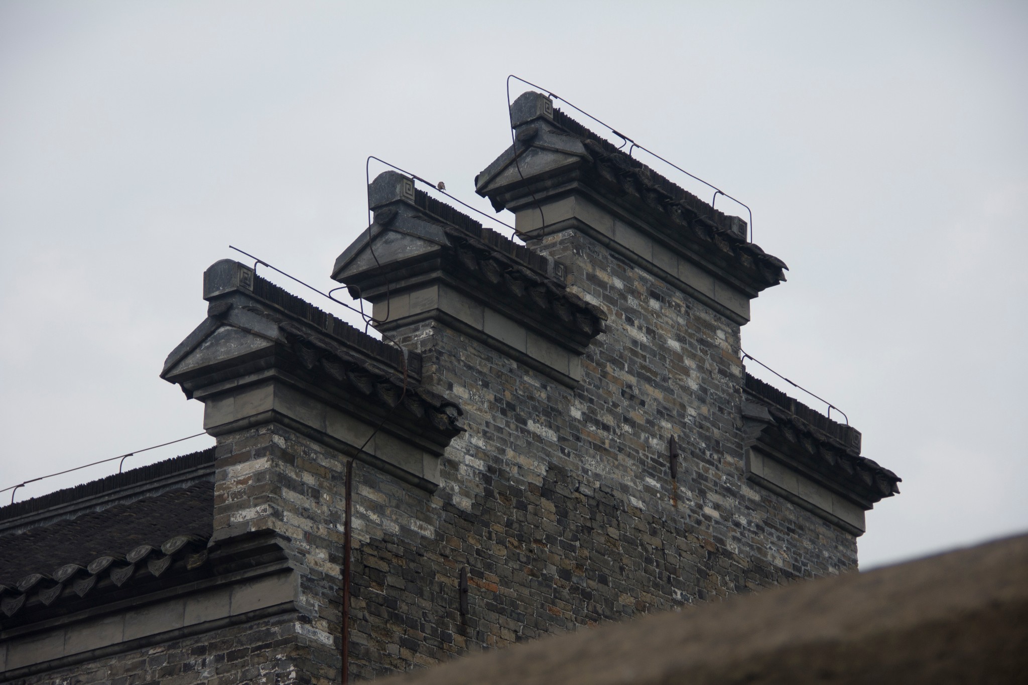 璋佷笉璇村挶瀹朵埂濂界_峡阳镇大埂村(2)