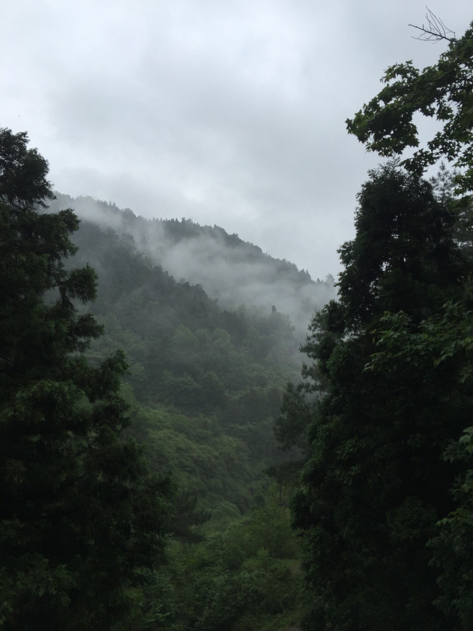 南岳衡山大雾之旅虽然觉得傻bb但觉得开心开心