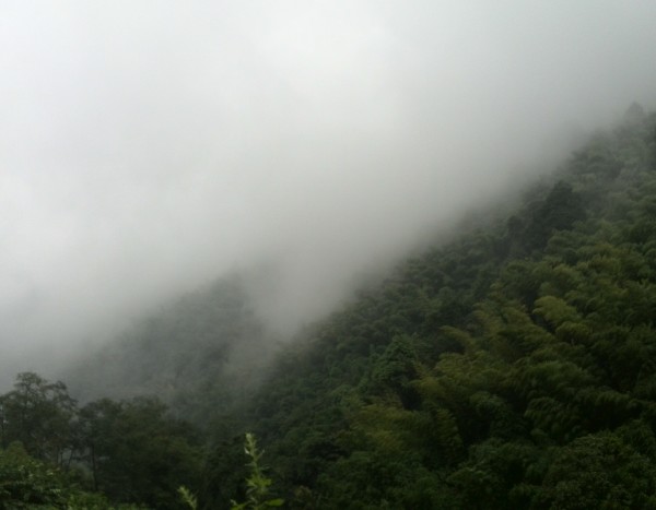 永川游玩茶山攻略,永川游玩攻略