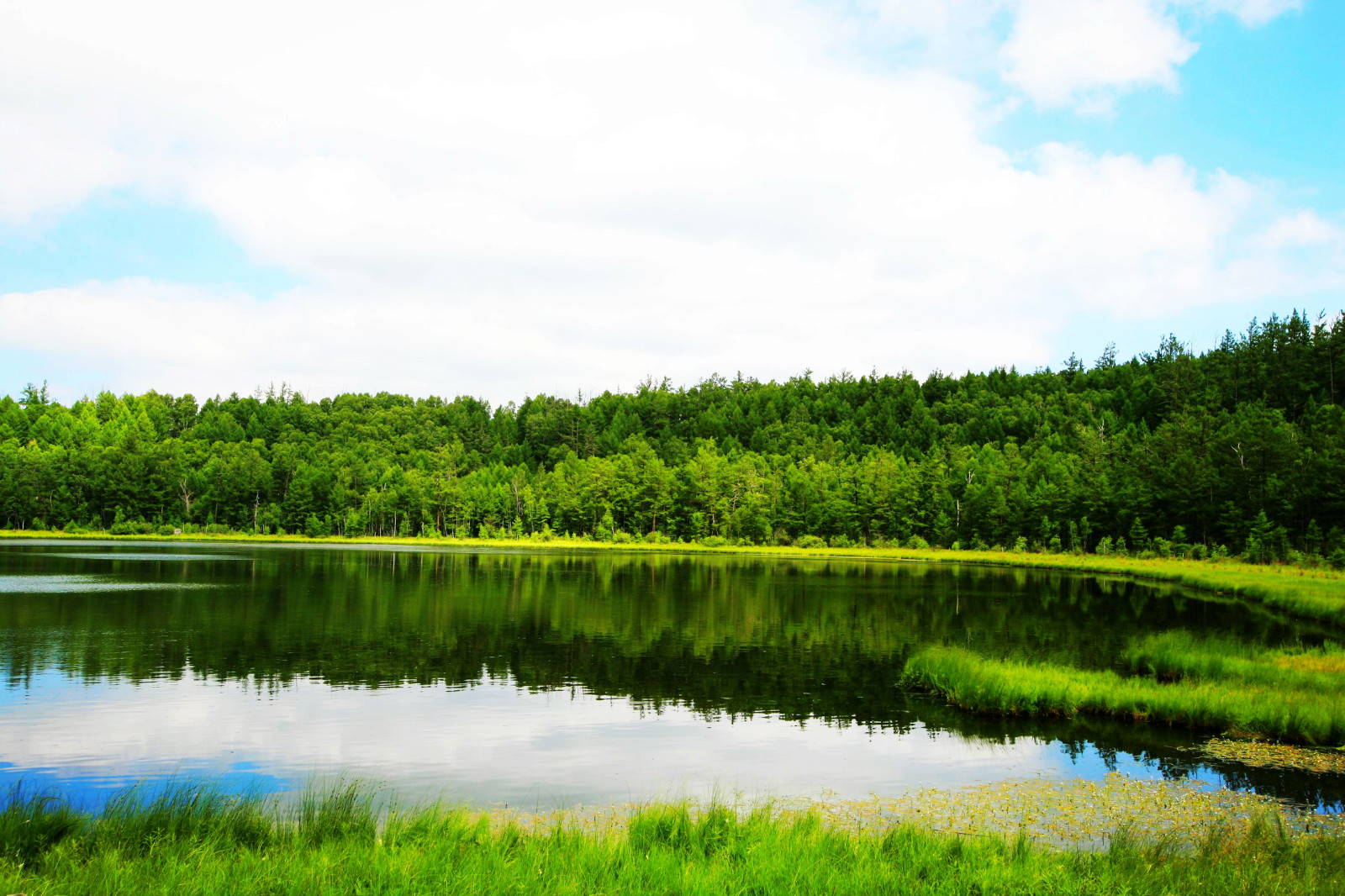 wKgBpVW4ToqAU4FFAAge4V-AJzg01.jpeg?imageView2%2F2%2Fw%2F680%2Fq%2F90%7CimageMogr2%2Fstrip%2Fquality%2F90