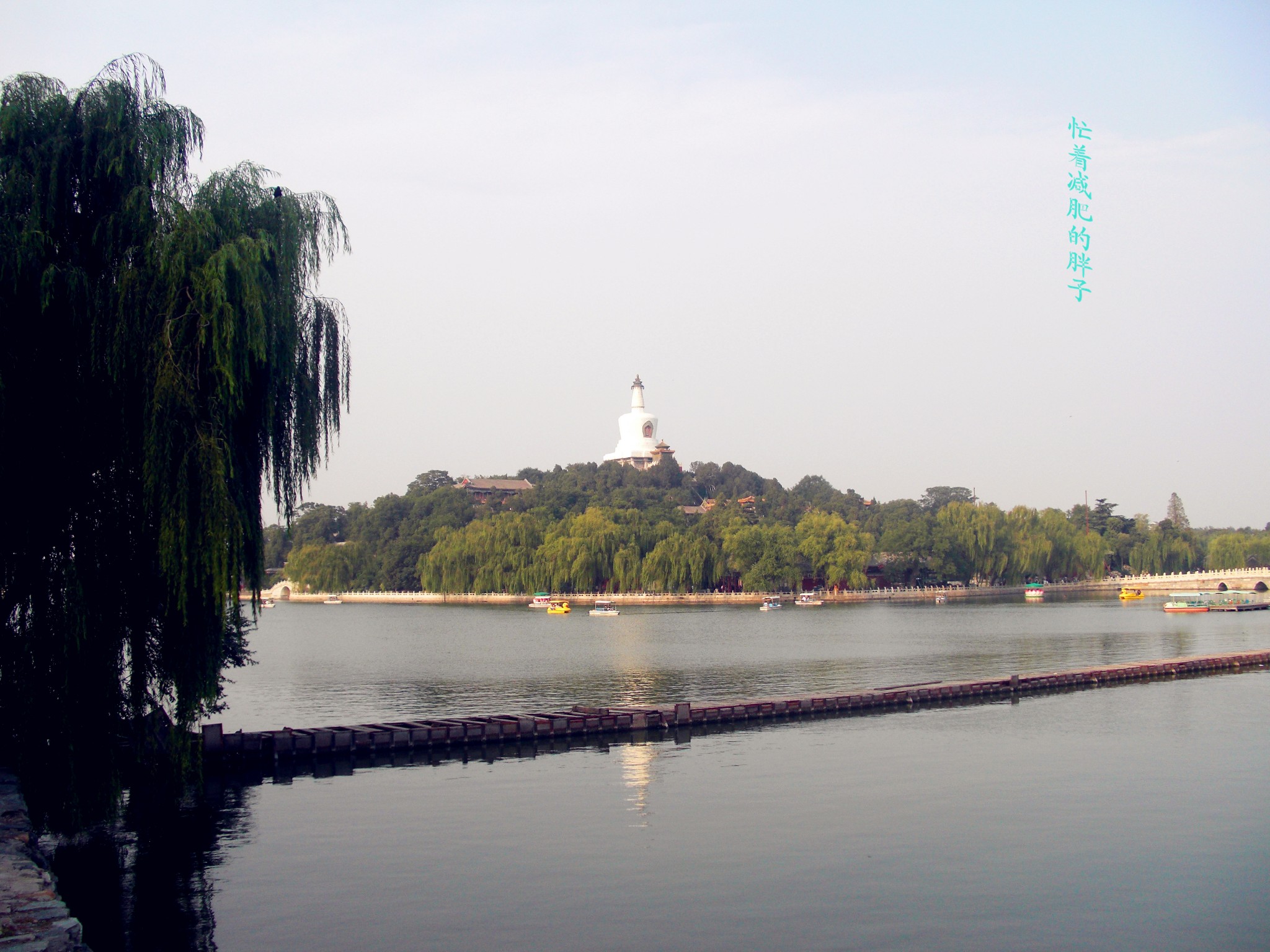 wKgBpVU54pKAGrPzAAiBre8RZ0g57.jpeg?imageView2%2F2%2Fw%2F600%2Fh%2F600%2Fq%2F90