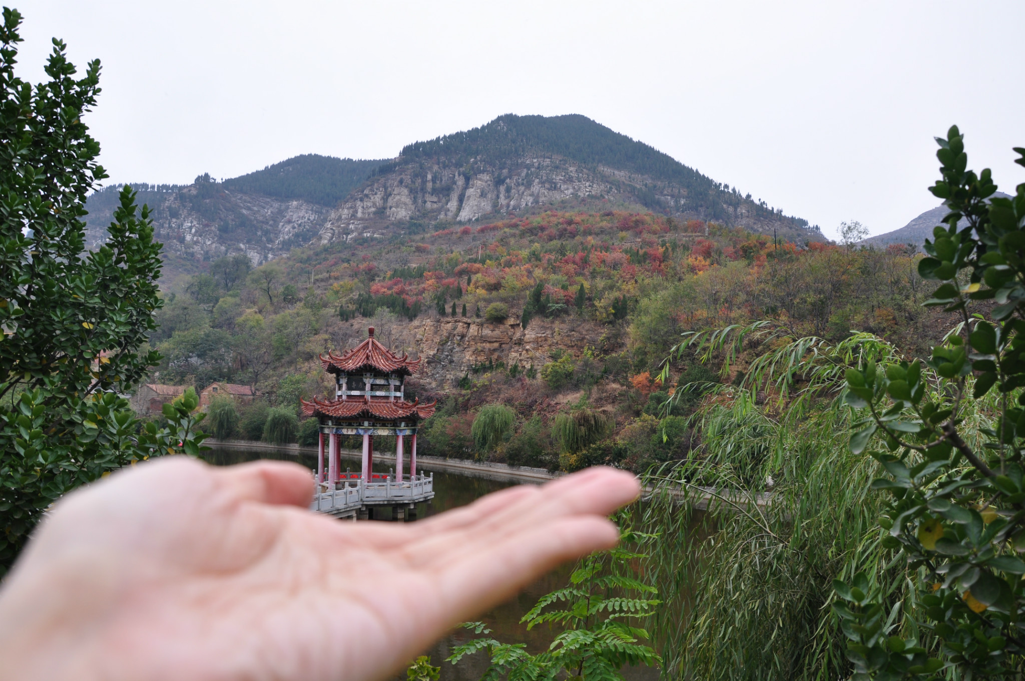 计划去近郊看红叶,翻出微信圈里济南红叶路线图,决定去三王峪,在章丘