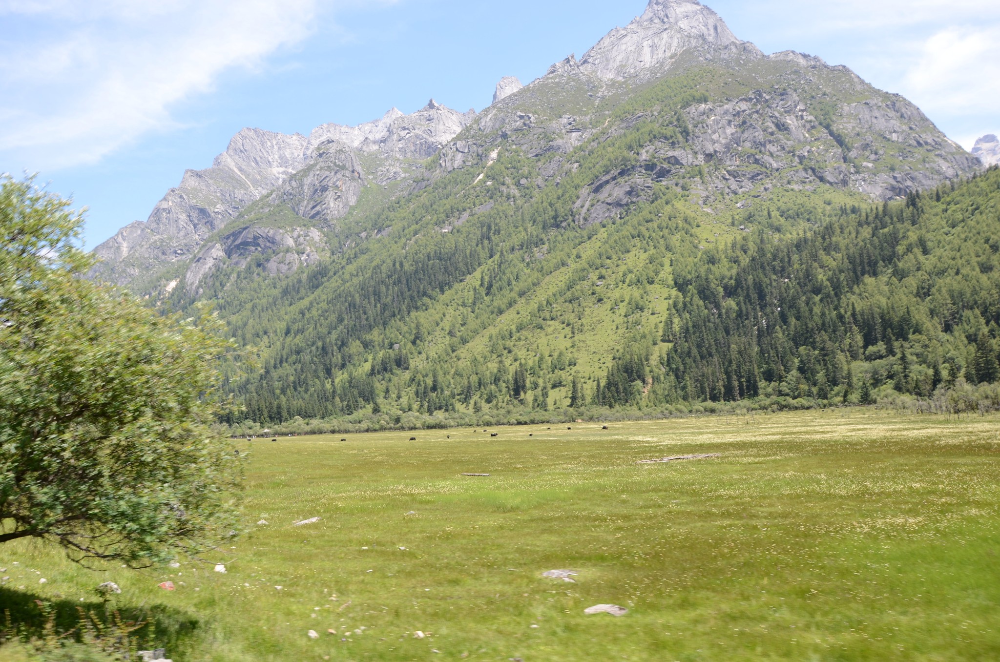 wKgBpVXRzrKAUGccAA3ns64Vgv449.jpeg?imageView2%2F2%2Fw%2F600%2Fh%2F600%2Fq%2F90%7Cimageslim