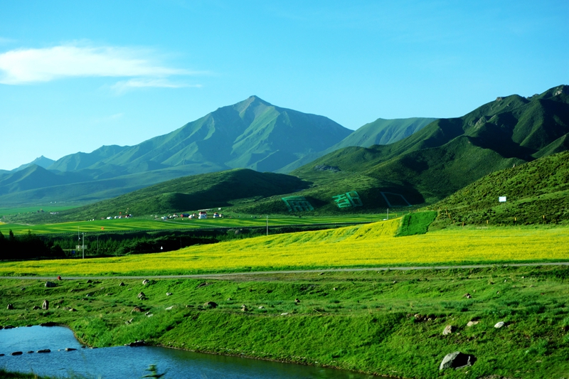 什么的茂盛成语_榕树在什么时候最茂盛(3)