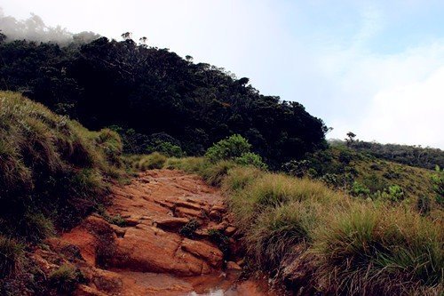 斯里兰卡游记--蚂蜂窝