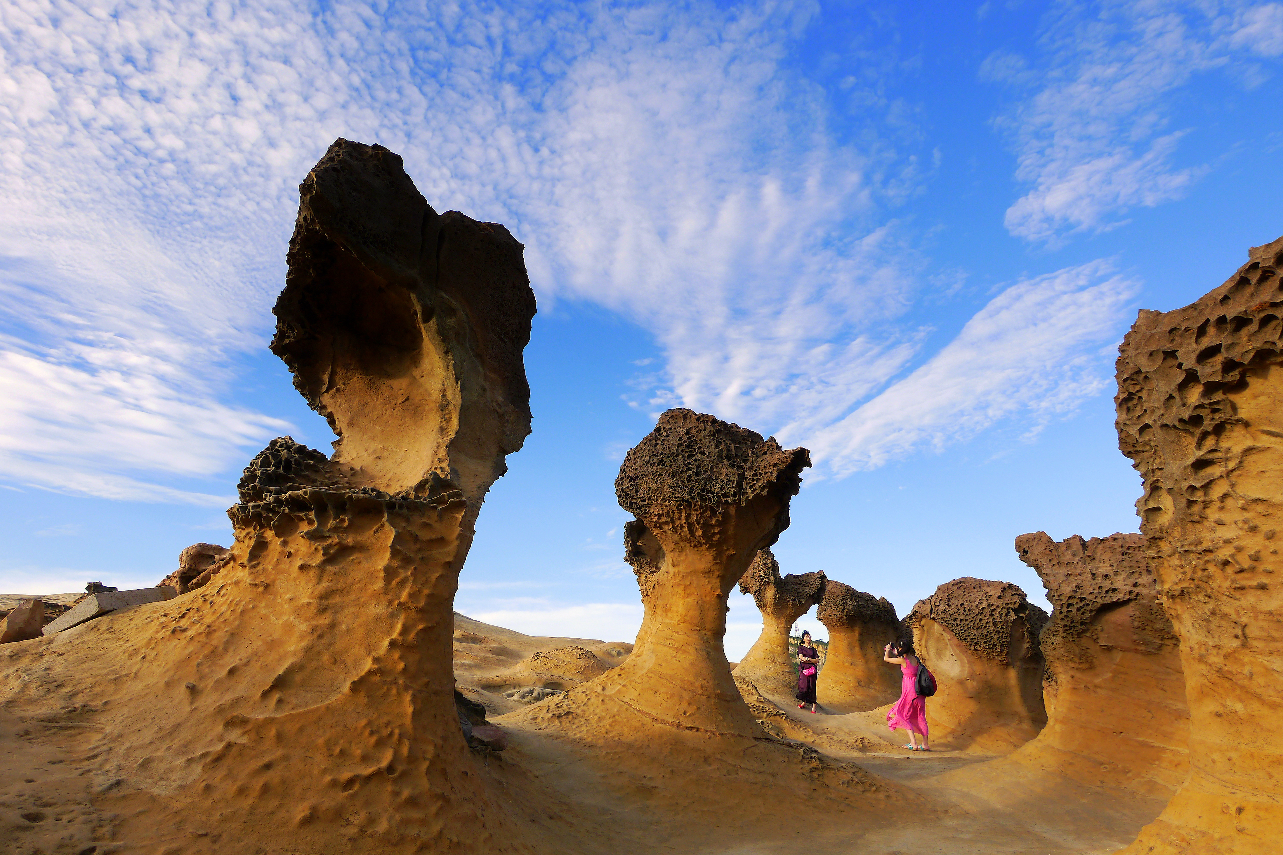 【台湾好行】皇冠北海岸线巴士一日券【北海岸小旅行】