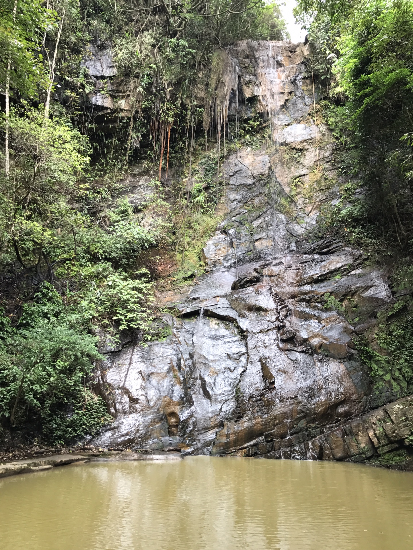 象州县妙皇乡生态景区(露营一日游)